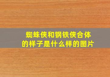 蜘蛛侠和钢铁侠合体的样子是什么样的图片