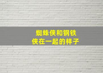 蜘蛛侠和钢铁侠在一起的样子