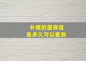 补缴的医保信息多久可以查到