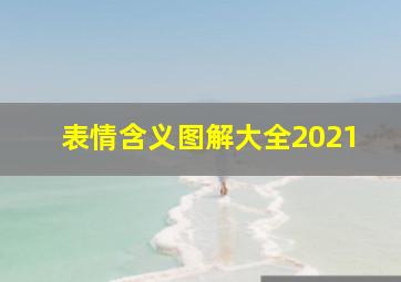 表情含义图解大全2021