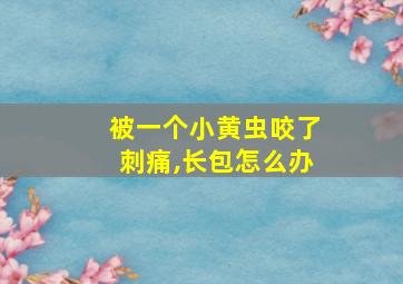 被一个小黄虫咬了刺痛,长包怎么办