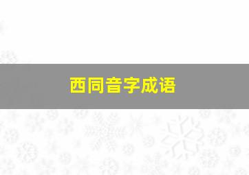 西同音字成语