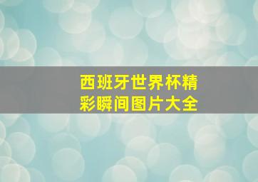 西班牙世界杯精彩瞬间图片大全