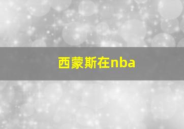 西蒙斯在nba