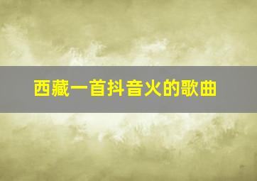 西藏一首抖音火的歌曲