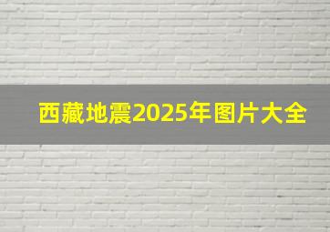 西藏地震2025年图片大全