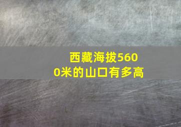 西藏海拔5600米的山口有多高