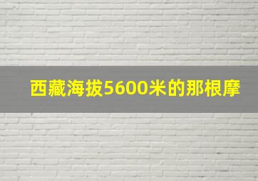 西藏海拔5600米的那根摩