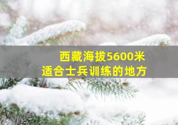 西藏海拔5600米适合士兵训练的地方