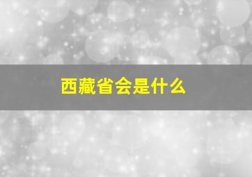 西藏省会是什么