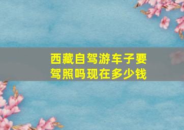 西藏自驾游车子要驾照吗现在多少钱