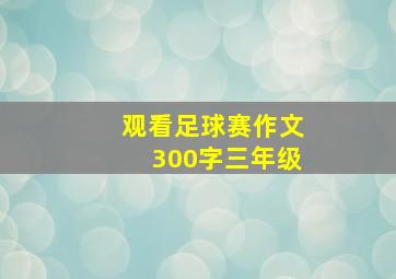 观看足球赛作文300字三年级