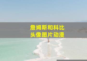 詹姆斯和科比头像图片动漫