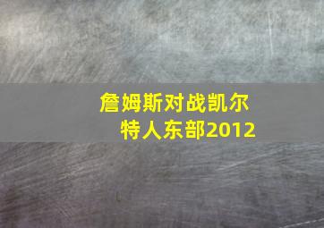 詹姆斯对战凯尔特人东部2012