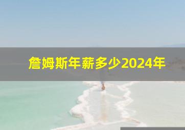 詹姆斯年薪多少2024年