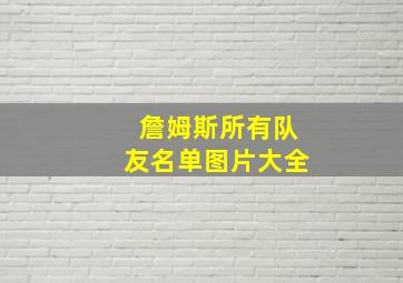 詹姆斯所有队友名单图片大全