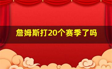 詹姆斯打20个赛季了吗