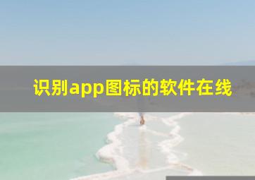 识别app图标的软件在线