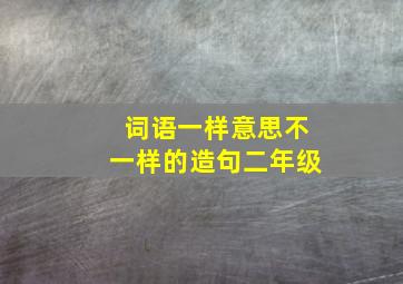 词语一样意思不一样的造句二年级