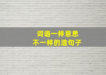 词语一样意思不一样的造句子