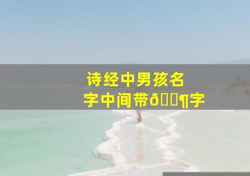 诗经中男孩名字中间带🈶字