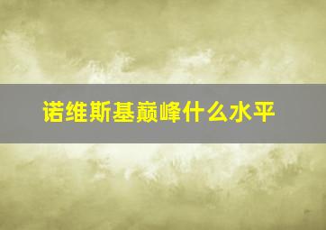 诺维斯基巅峰什么水平