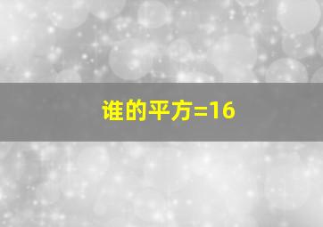 谁的平方=16