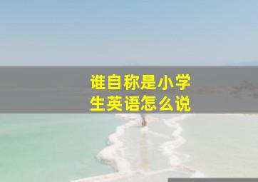 谁自称是小学生英语怎么说