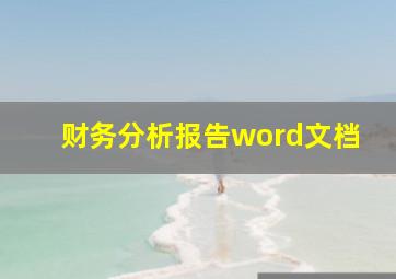 财务分析报告word文档