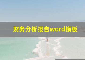 财务分析报告word模板