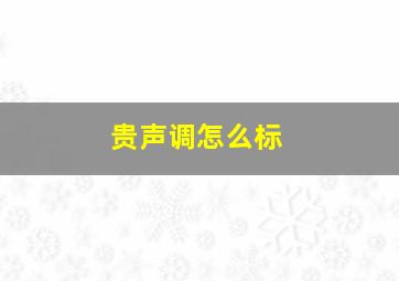 贵声调怎么标