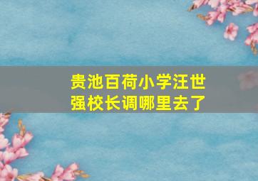 贵池百荷小学汪世强校长调哪里去了