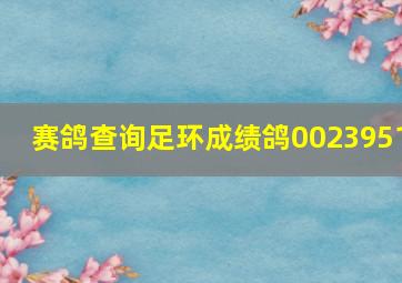 赛鸽查询足环成绩鸽0023951