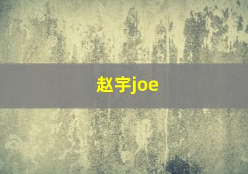 赵宇joe