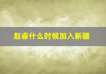 赵睿什么时候加入新疆