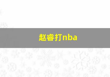 赵睿打nba