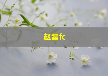 赵磊fc