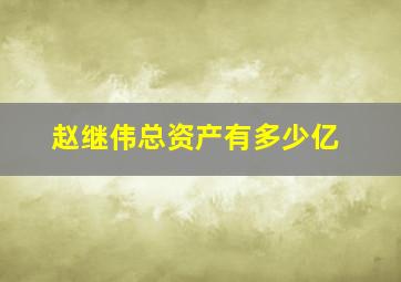 赵继伟总资产有多少亿