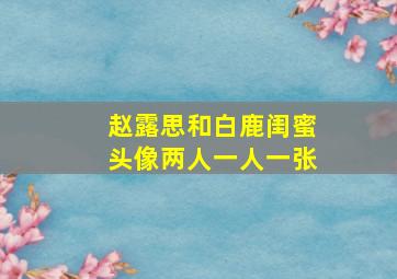 赵露思和白鹿闺蜜头像两人一人一张