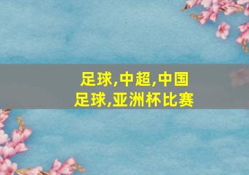 足球,中超,中国足球,亚洲杯比赛