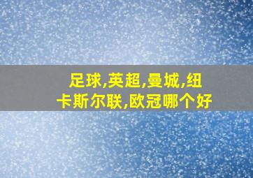 足球,英超,曼城,纽卡斯尔联,欧冠哪个好