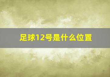 足球12号是什么位置