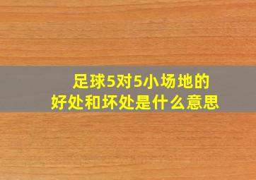 足球5对5小场地的好处和坏处是什么意思