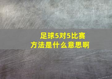 足球5对5比赛方法是什么意思啊