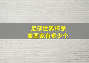 足球世界杯参赛国家有多少个