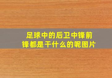 足球中的后卫中锋前锋都是干什么的呢图片