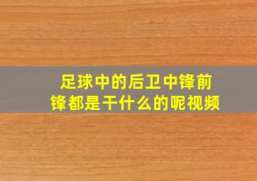 足球中的后卫中锋前锋都是干什么的呢视频