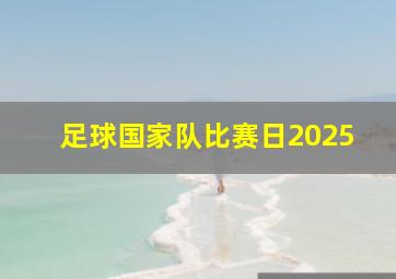 足球国家队比赛日2025