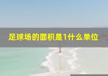 足球场的面积是1什么单位