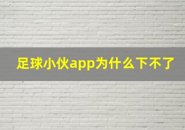 足球小伙app为什么下不了